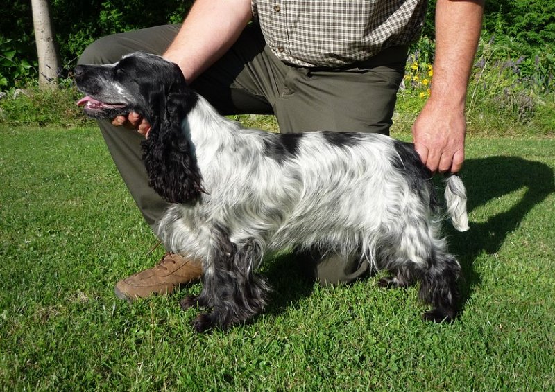 21.7.2009 postoje 018.jpg